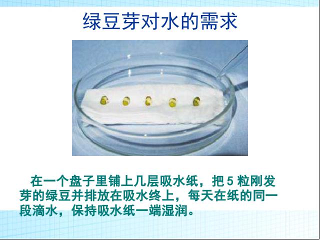 五年级上册科学教科版科学《第一单元期末总复习》第9页