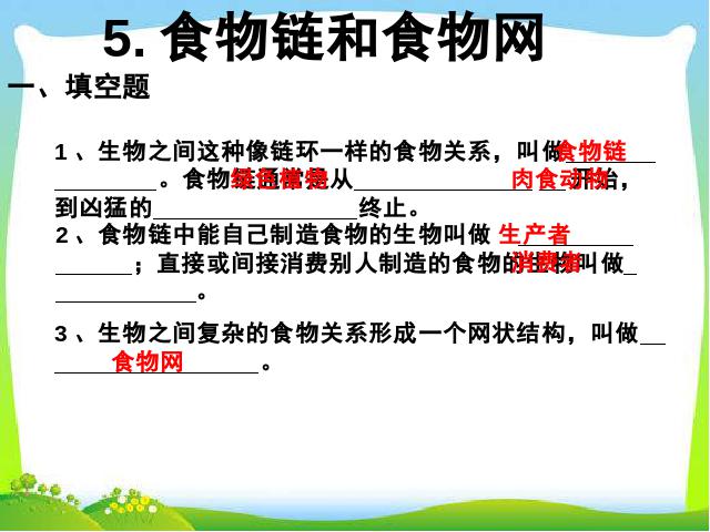 五年级上册科学教科版科学《期末总复习练习题》第10页