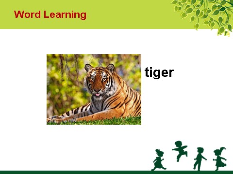 五年级上册英语（SL版）Unit 3 Animals Lesson 1 课件 3第4页