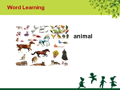 五年级上册英语（SL版）Unit 3 Animals Lesson 3 课件 2第5页