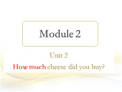 五年级上册英语（外研三起点）M2U2 How much cheese did you buy？第1页