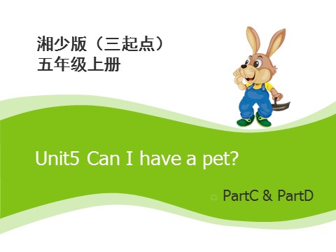 五年级上册英语（湘少版）Unit5_Can_I_have_a_pet？第2课时课件第1页