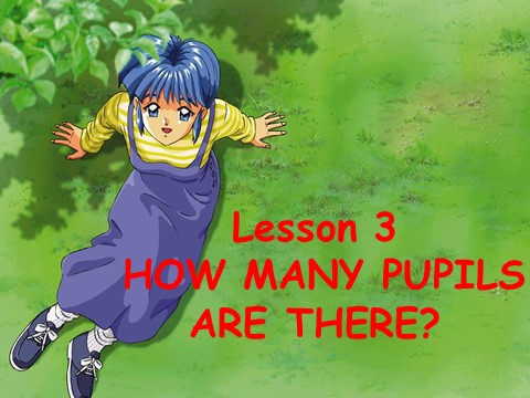 五年级上册英语（科普版）Lesson 3 HOW MANY PUPILS ARE THERE 课件1第1页