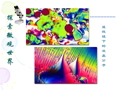 五年级下册美术《微观世界》课件第7页