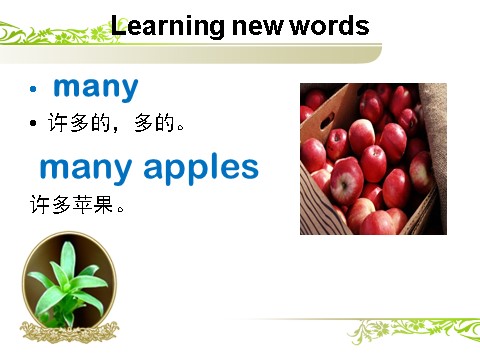 五年级下册英语（精通版）Lesson 3 课件1第5页