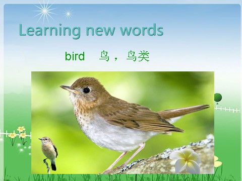 五年级下册英语（精通版）Lesson 30 课件2第7页