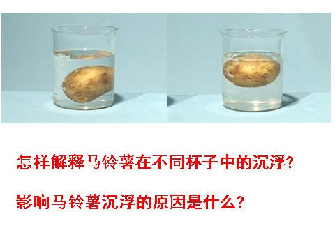 五年级下册科学（教科版）马铃薯在液体中的沉浮ppt课件(科学)第2页