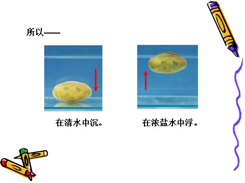 五年级下册科学（教科版）探索马铃薯沉浮的原因PPT教学课件(科学)第9页