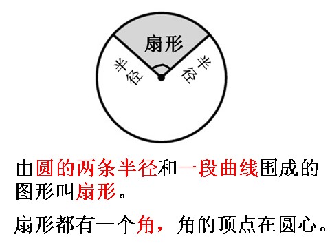 五年级下册数学（苏教版）数学扇形的初步认识ppt课件第8页