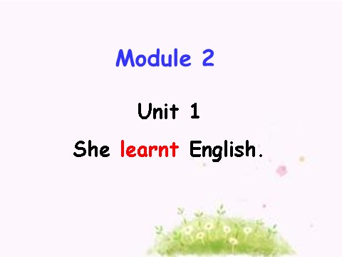 五年级下册英语（外研版三起点）英语Module2 Unit1 She learnt Englishppt课件第4页