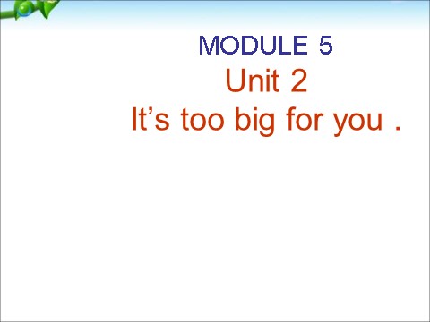 五年级下册英语（外研版三起点）原创Module5 Unit2 It's too big for youppt课件第9页