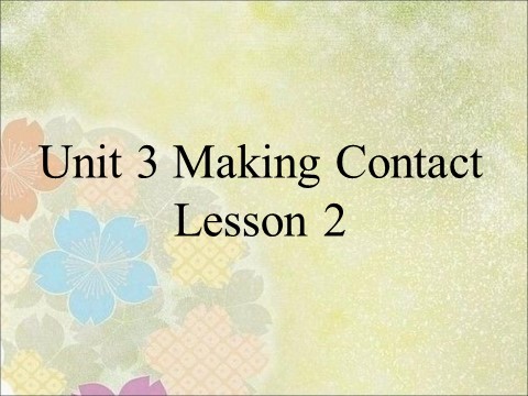 五年级下册英语(SL版)Unit 3 Making Contact Lesson 2 课件 3第1页