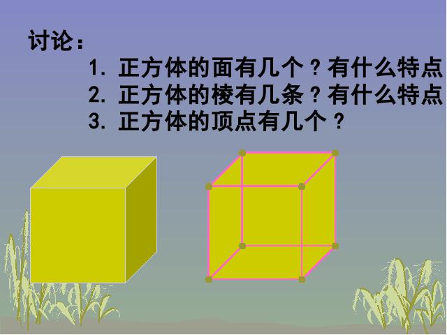 五年级下册数学（人教版）数学第三单元-《正方体的认识》第10页