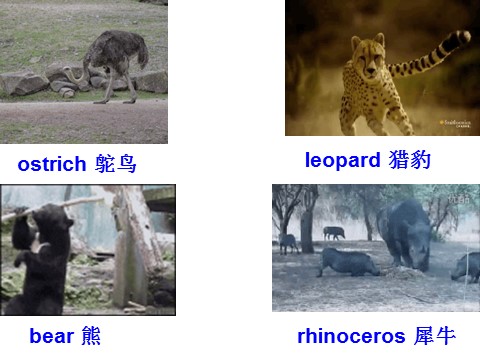 五年级下册英语（闽教版）春闽教版英语五下Unit 2《A visit to the Zoo》（Part A）ppt课件2第4页