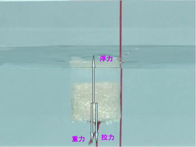 五年级下册科学科学第一单元“沉和浮”《浮力》第5页