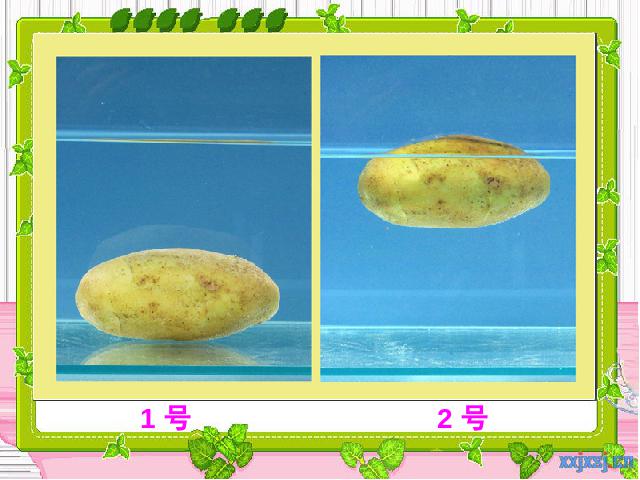 五年级下册科学教科版《马铃薯在液体中的沉浮》(科学)第2页