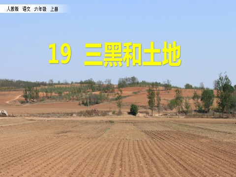 六年级上册语文（部编版）19 三黑和土地第2页