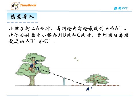 六年级上册数学(北师大版）3.2观察的范围第6页