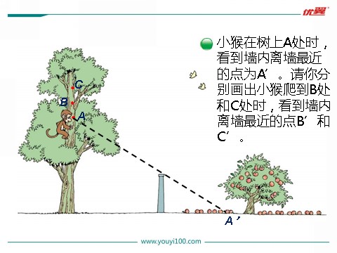 六年级上册数学(北师大版）第2课时 观察的范围第2页