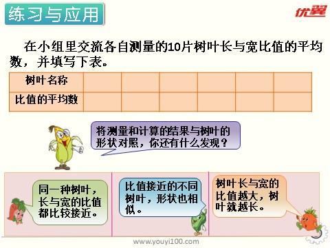 六年级上册数学（苏教版）第14课时 树叶中的比 课件第8页