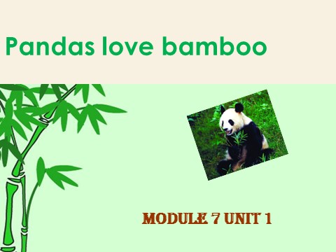 六年级上册英语（外研一起点）Module 7 Unit 1 Pandas love bamboo课件2第1页