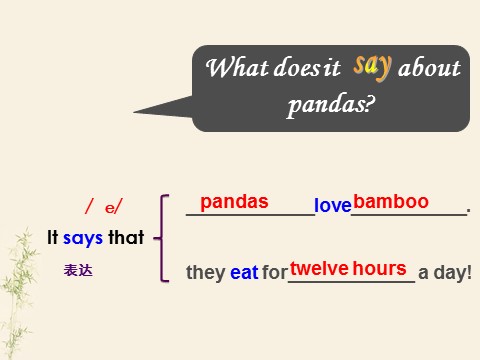 六年级上册英语（外研一起点）Module 7 Unit 1 Pandas love bamboo课件2第6页