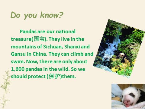 六年级上册英语（外研一起点）Module 7 Unit 1 Pandas love bamboo课件2第8页