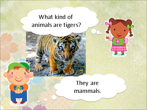 六年级上册英语（SL版）Unit 3 Animal World Lesson 2 课件 3第10页