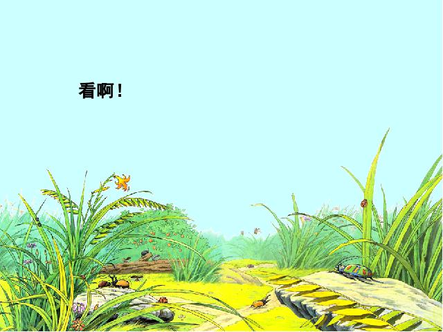 六年级上册语文语文第一组“第3课”《草虫的村落》（）第3页