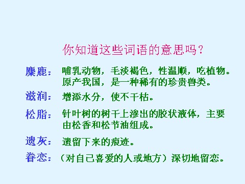 六年级上册语文（课堂教学课件3）这片土地是神圣的第6页