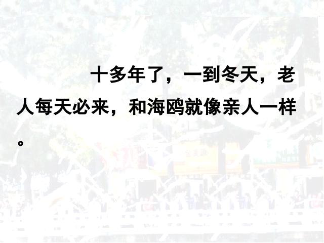 六年级上册语文《第21课：老人与海鸥》(语文人教第10页