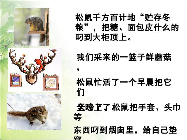 六年级上册语文语文《第22课：跑进家来的松鼠》(人教第10页