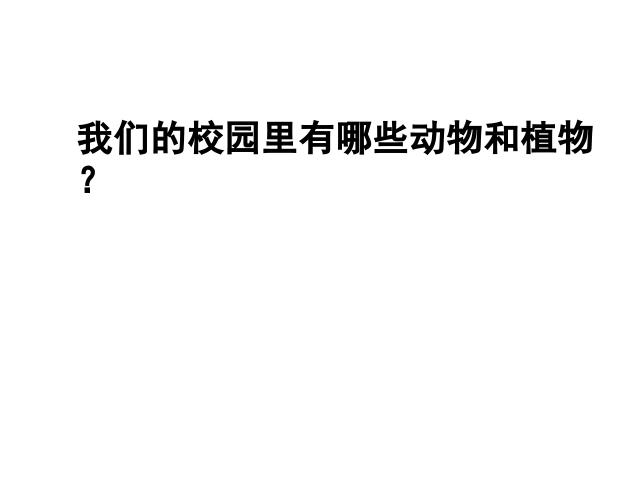 六年级上册科学科学第四单元《4.1校园生物大搜索》（）第3页