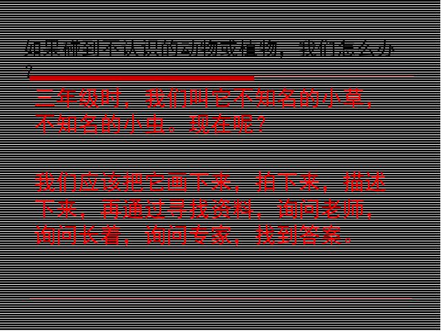 六年级上册科学《4.1校园生物大搜索》(科学)第6页