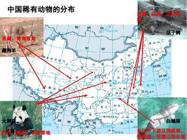 六年级上册科学教科版《4.2校园生物分布图》(科学)第5页