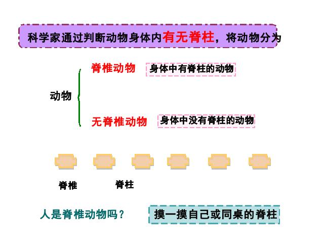 六年级上册科学科学《4.4种类繁多的动物》第5页