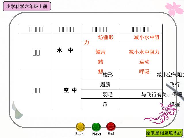 六年级上册科学科学《4.6原来是相关联的》第10页