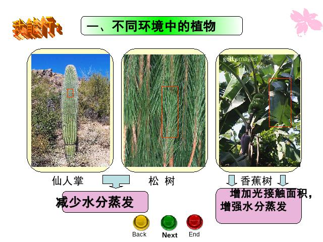 六年级上册科学科学《4.6原来是相关联的》第4页