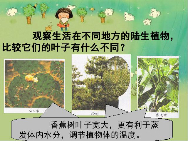 六年级上册科学第四单元《4.6原来是相关联的》(科学)第6页