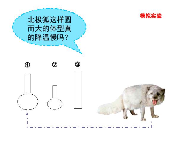 六年级上册科学教科版《4.7谁选择了它们》(科学)第6页