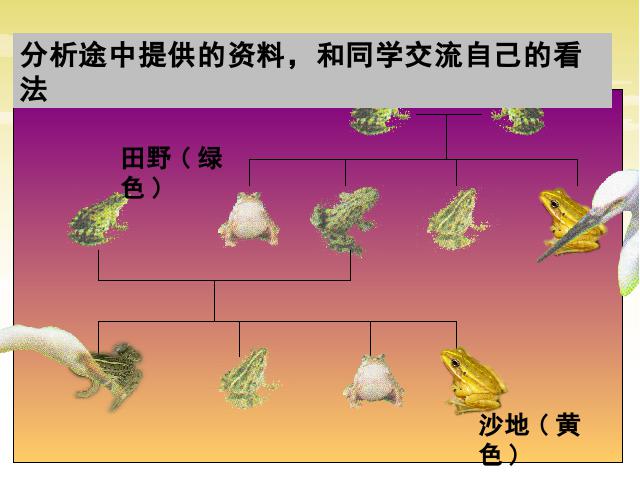 六年级上册科学科学第四单元《4.7谁选择了它们》第4页