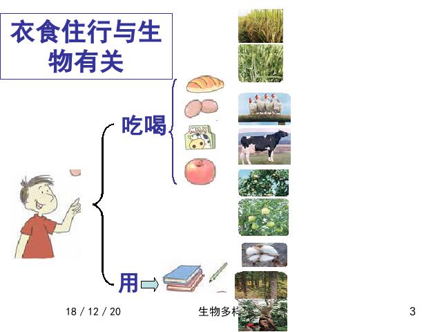 六年级上册科学科学《4.8生物多样性的意义》第3页