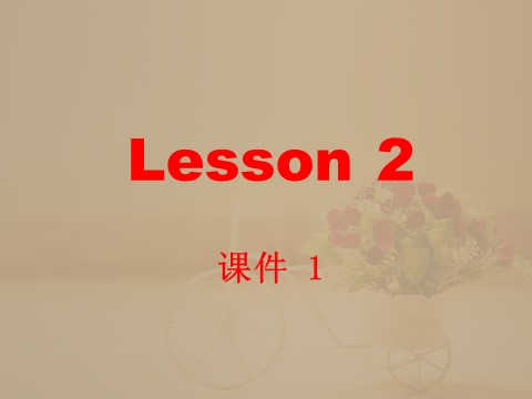 六年级下册英语（精通版）Lesson 2课件 1第2页