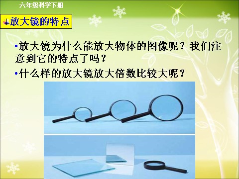 六年级下册科学（教科版）第一单元“微小世界”放大镜ppt课件(科学第8页