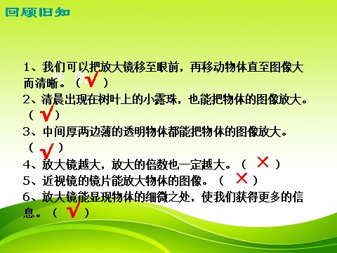 六年级下册科学（教科版）科学第一单元放大镜下的昆虫世界ppt课件第3页