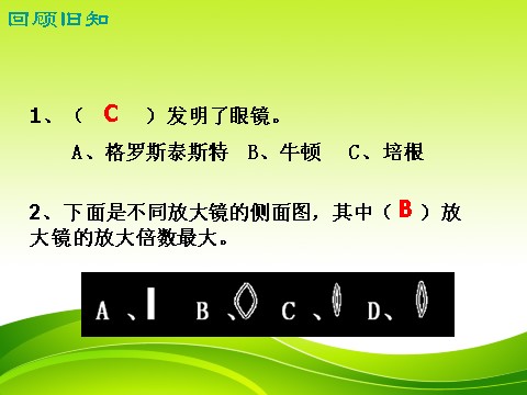 六年级下册科学（教科版）科学第一单元放大镜下的昆虫世界ppt课件第4页