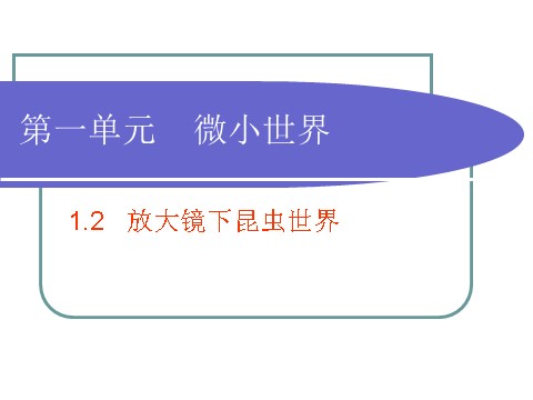 六年级下册科学（教科版）第一单元放大镜下的昆虫世界ppt课件(科学第1页