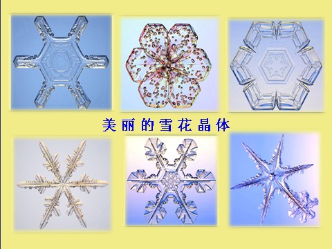 六年级下册科学（教科版）第一单元：放大镜下的晶体PPT教学课件(科学第10页