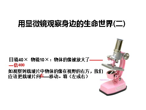 六年级下册科学（教科版）科学用显微镜观察身边的生命世界(二)ppt教学课件第1页