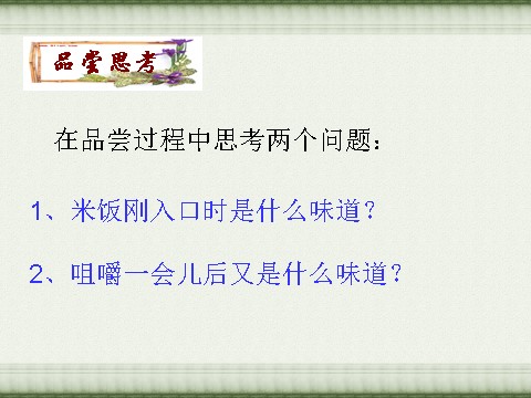 六年级下册科学（教科版）科学米饭、淀粉和碘酒的变化PPT课件(教科第2页